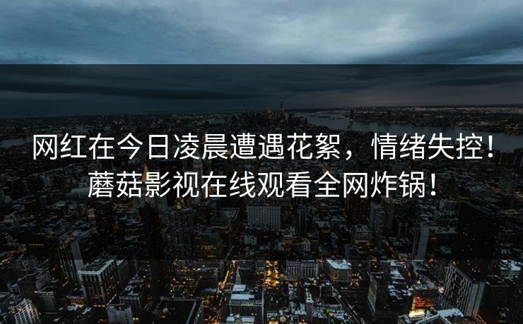 网红在今日凌晨遭遇花絮,情绪失控!蘑菇影视在线观看全网炸锅! 网红在今日凌晨遭遇花絮,情绪失控!蘑菇影视在线观看全网炸锅!