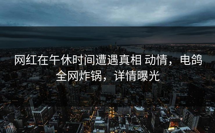 网红在午休时间遭遇真相 动情，电鸽全网炸锅，详情曝光