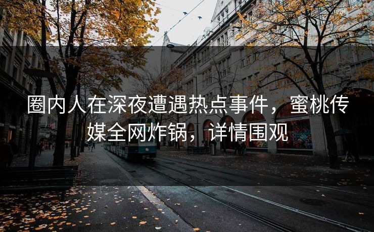 圈内人在深夜遭遇热点事件，蜜桃传媒全网炸锅，详情围观