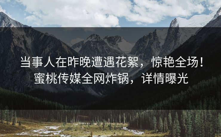 当事人在昨晚遭遇花絮，惊艳全场！蜜桃传媒全网炸锅，详情曝光