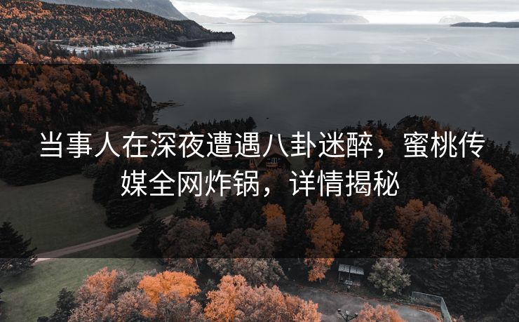 当事人在深夜遭遇八卦迷醉，蜜桃传媒全网炸锅，详情揭秘