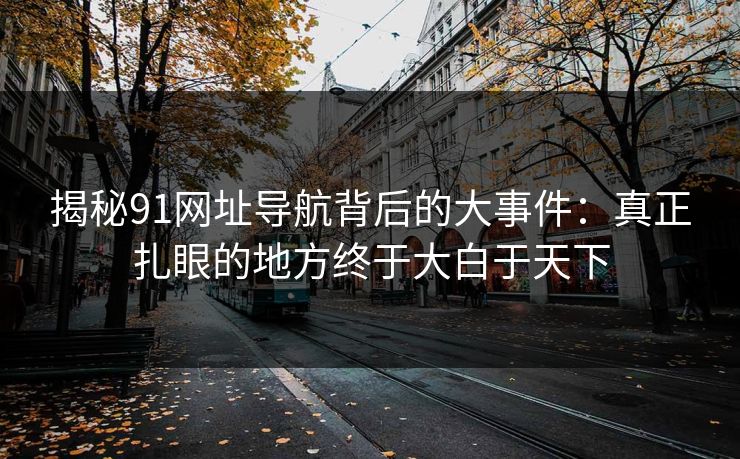 揭秘91网址导航背后的大事件：真正扎眼的地方终于大白于天下